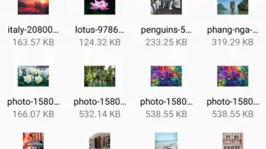 Captura de tela de FM File Manager 3