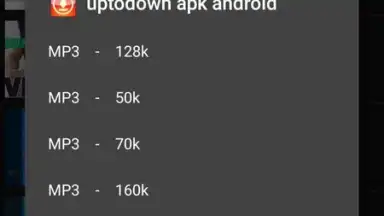 Captura de tela de MP3 Downloader 1