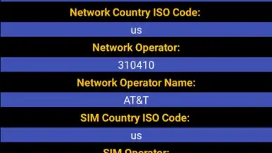 Captura de tela de Sim Info 1