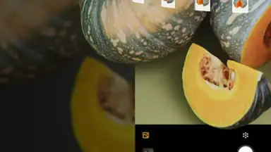 Captura de tela de RealityScan - 3D Scanning App 15