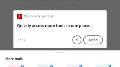 Captura de tela de Adobe Acrobat Reader 7