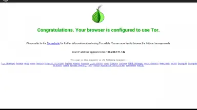 Captura de tela de Orweb: Private Web Browser 10
