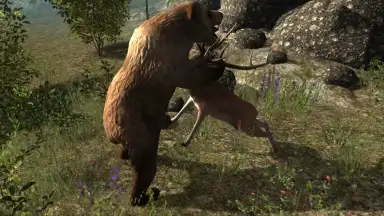 Captura de tela de Real Bear Simulator 3