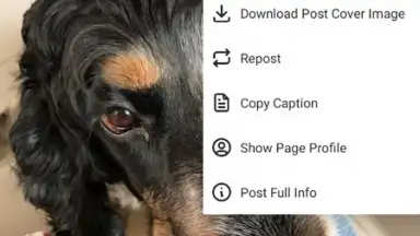 Captura de tela de Honista 1