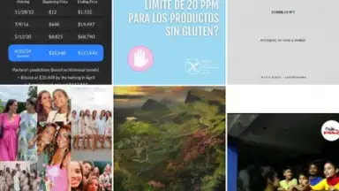 Captura de tela de Instagram Lite 6