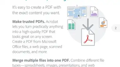 Captura de tela de Adobe Acrobat Reader 8