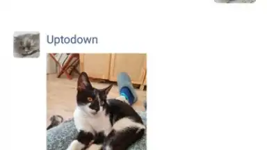 Captura de tela de WeChat 17