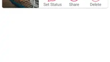 Captura de tela de Status Saver 3
