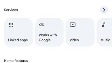 Captura de tela de Google Home 1