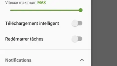 Captura de tela de IDM (internet download menager) 7