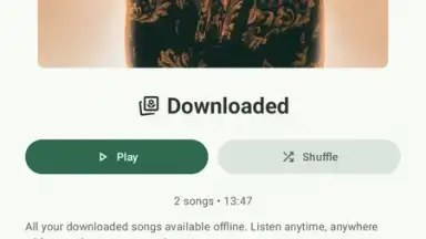 Captura de tela de VIVI Music 17