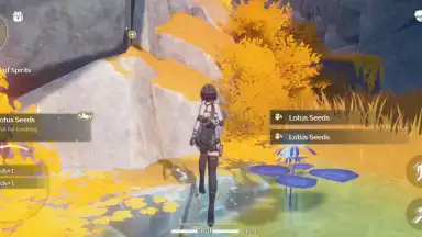 Captura de tela de Wuthering Waves 10