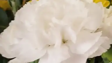 Captura de tela de Open Camera 1