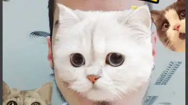 Captura de tela de InstaBeauty 1