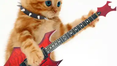 Captura de tela de Talking, Dancing Cat. 3