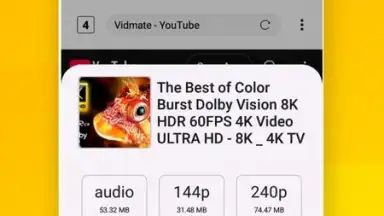 Captura de tela de Vidora YouTube Downloader | free & fast 2