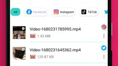 Captura de tela de Video Downloader 2