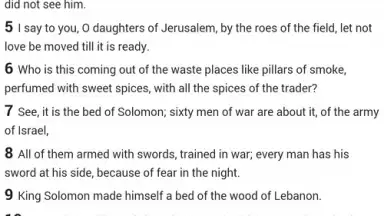 Captura de tela de Easy to read Bible 4