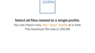 Captura de tela de OpenVPN Connect 7