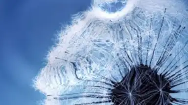 Captura de tela de Galaxy S3 Live Wallpaper 1