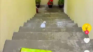 Captura de tela de TikTok Pro 9
