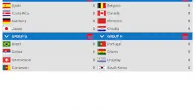 Captura de tela de World Football Simulator 18