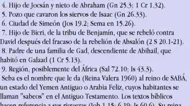 Captura de tela de Diccionario Bíblico Nelson 6