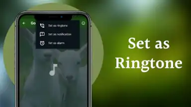 Captura de tela de Goat Sounds 8