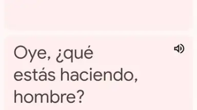 Captura de tela de Google Translate 12