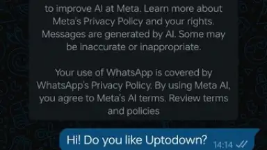 Captura de tela de WhatsApp Messenger 27