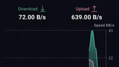 Captura de tela de ProtonVPN 9