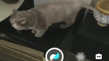Captura de tela de Motion Stills 1