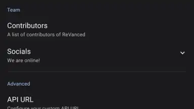 Captura de tela de ReVanced Manager 5