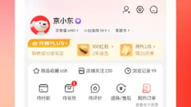 Captura de tela de Jingdong 10