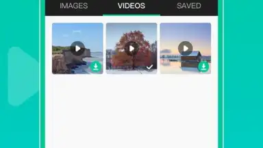 Captura de tela de WAStatusGrabD 3