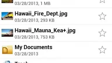 Captura de tela de Online Storage 3