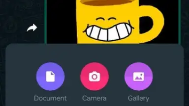 Captura de tela de WhatsApp Messenger 28