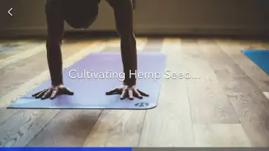 Captura de tela de Yoga | Down Dog 2