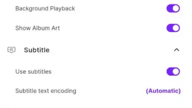Captura de tela de KMPlayer 8