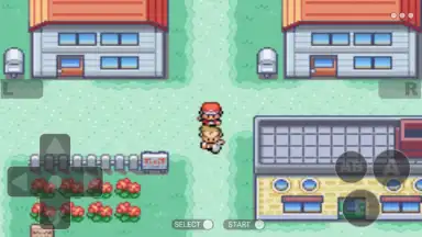 Captura de tela de Pokemon Collection 3