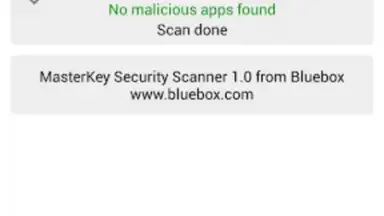 Captura de tela de Bluebox Security Scanner 2