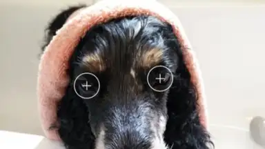Captura de tela de MakeupPlus 3