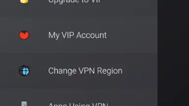 Captura de tela de VPN Tomato 8