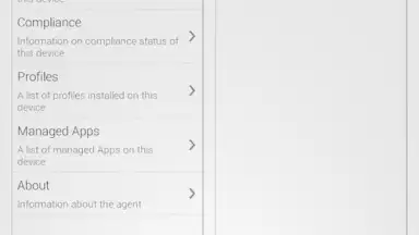 Captura de tela de AirWatch Agent 3