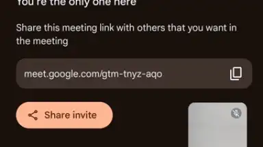Captura de tela de Google Meet 15