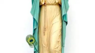 Captura de tela de Virgin Mary 3