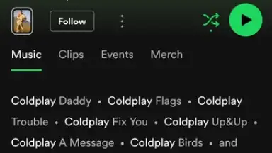 Captura de tela de Spotify 28