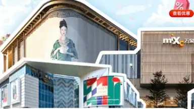 Captura de tela de UnionPay 8