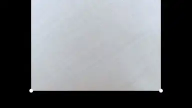Captura de tela de HedgeCam 2 3