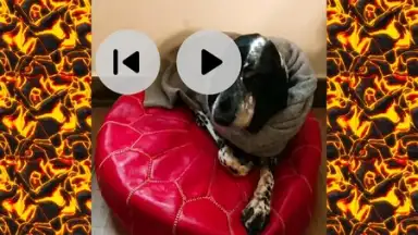 Captura de tela de iShot Video Editor 4